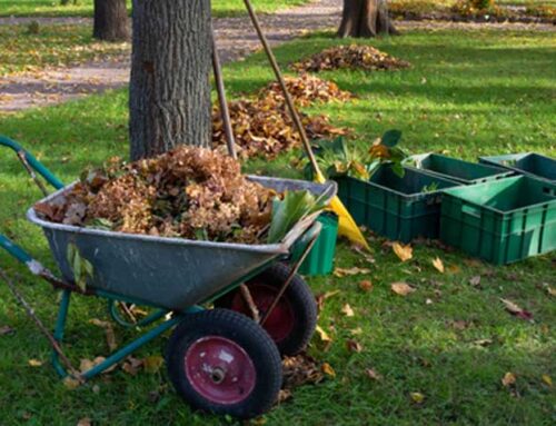 Fall Yard Cleanup: 8 Shortcuts for Easy Care